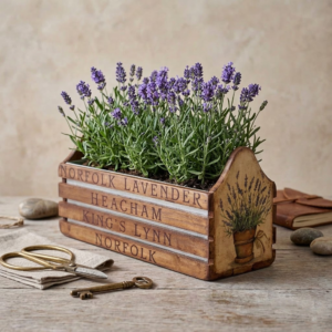 Plant Trough With Zinc